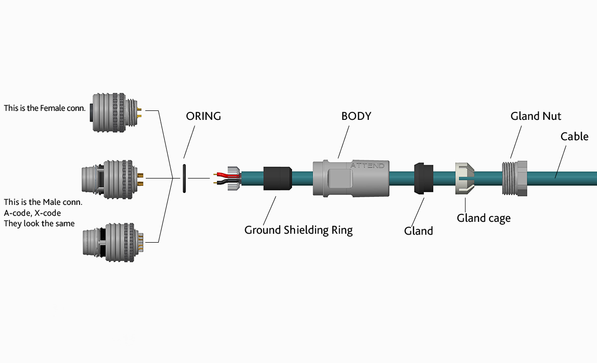 M12 Push-Pull Plug for Cable